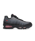 AM95