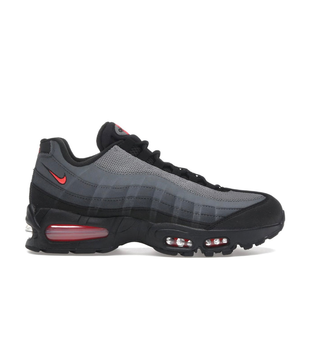 AM95