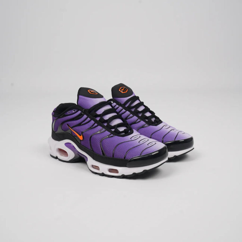Scarpa