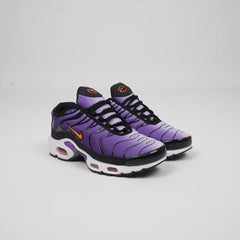 Scarpa