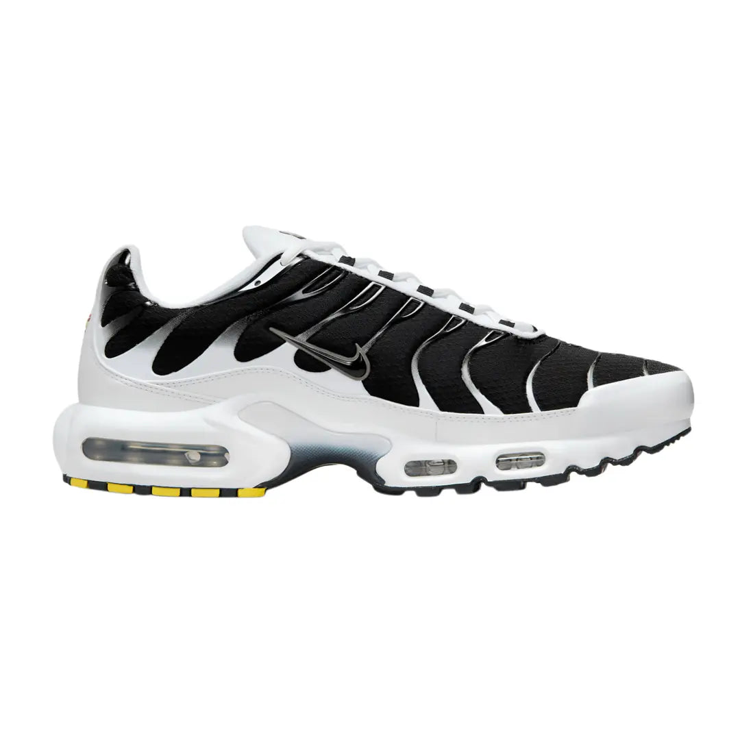 Scarpa