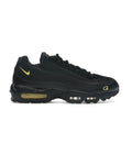 AM95