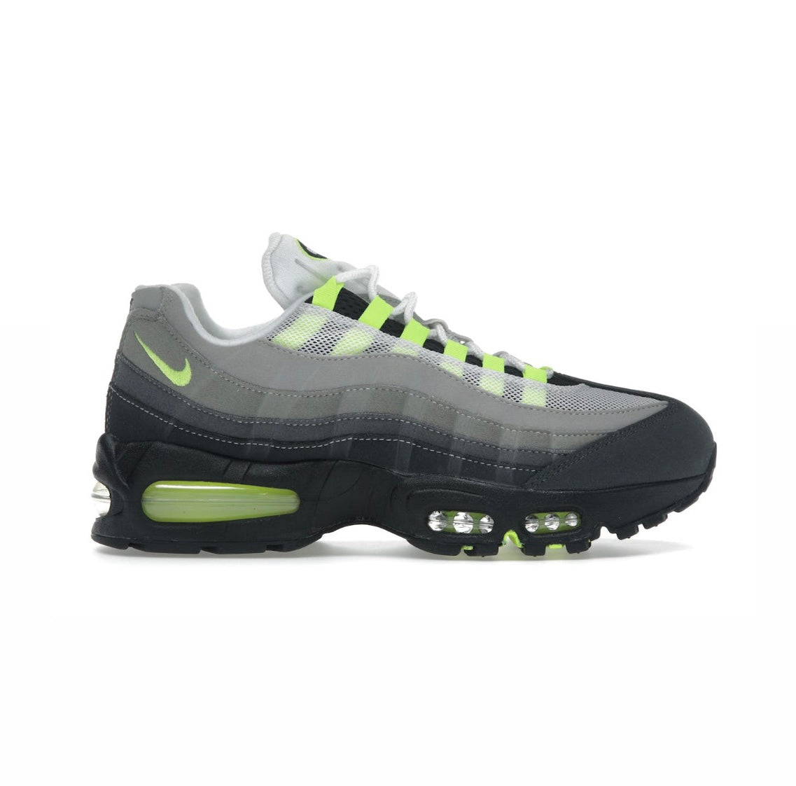 AM95