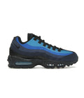 AM95